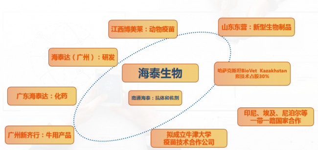 维多利亚老品牌vic(中国游)官方网站