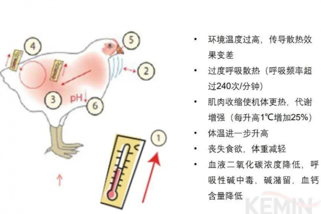 维多利亚老品牌vic(中国游)官方网站