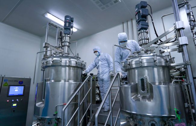 维多利亚老品牌vic(中国游)官方网站